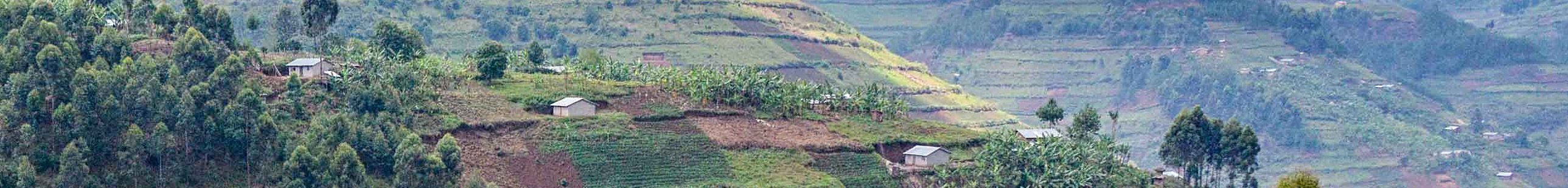 Find additional information on land rights issues in land-based investments, including best practice, reports and case studies, and links to other platforms