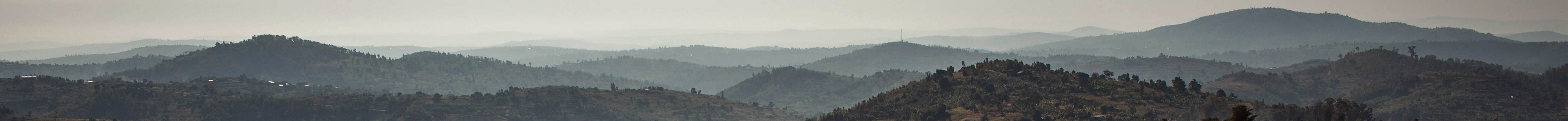 Find links to complementary platforms and services to safeguard land rights in investment